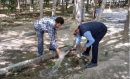 جداسازی آبیاری فضای سبز شهری از شبکه توزیع آب