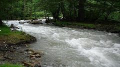 تیم های حفاظت از آب در حاشیه رودخانه کرج مستقر شدند