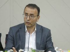 افزایش حضور حیات‌وحش در شهرها؛ زنگ خطر بیماری‌های مشترک