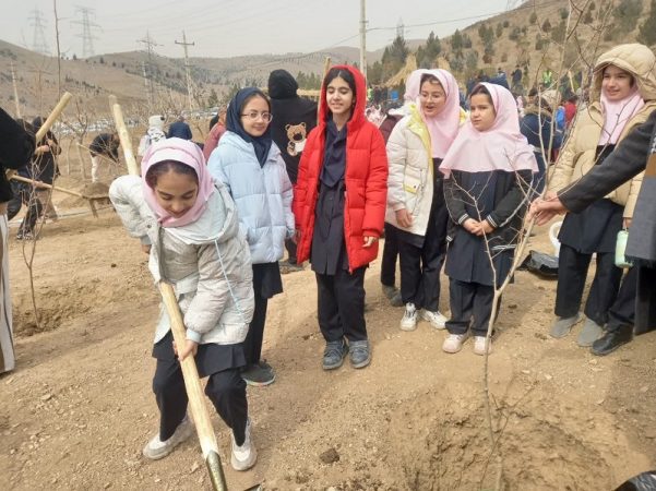 جشن درختکاری با حضور پرشور دانشآموزان برگزار شد جشن درختکاری با حضور پرشور دانشآموزان برگزار شد