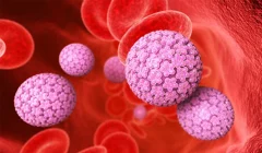 آیا ویروس HPV از طریق دستشویی و استخر منتقل می‌شود ؟