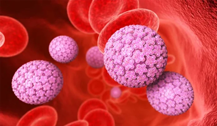 آیا ویروس HPV از طریق دستشویی و استخر منتقل میشود ؟ آیا ویروس HPV از طریق دستشویی و استخر منتقل میشود ؟