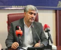 نظارت بر زنجیره تأمین گندم و آرد در البرز/ بازدید مشترک از کارخانه‌های کرج