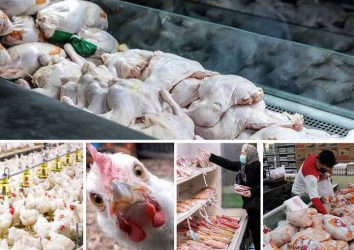سوءاستفاده برخی فروشندگان موجب افزایش محدود قیمت مرغ شد