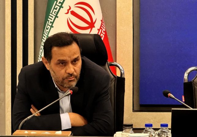 تأکید انصاری بر نقش بانک‌های خصوصی در حمایت از صنعت