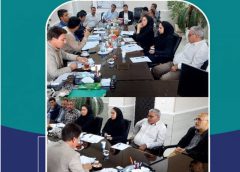 بررسی راهکارهای تأمین منابع مالی در جلسه کمیته درآمد شهرداری مشکین‌دشت