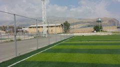 نبود نظارت واگذاری زمین چمن، باعث فساد و مافیا می‌شود