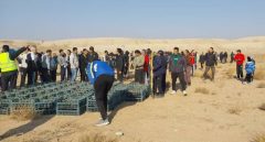 کاشت ۵ هزار نهال لگجی با مشارکت مردمی در اشتهارد